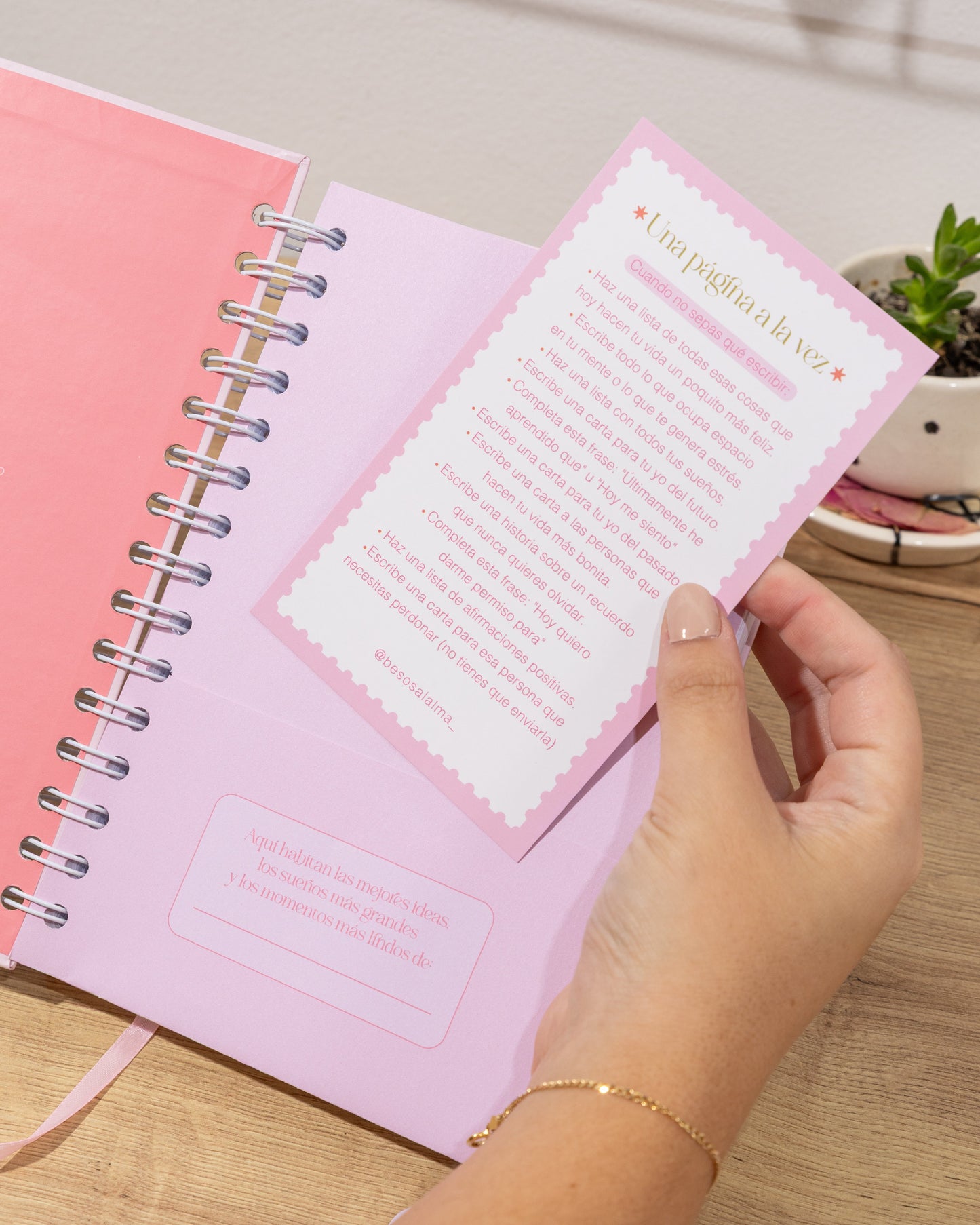 CUADERNO / JOURNAL DE PUNTOS DIOS