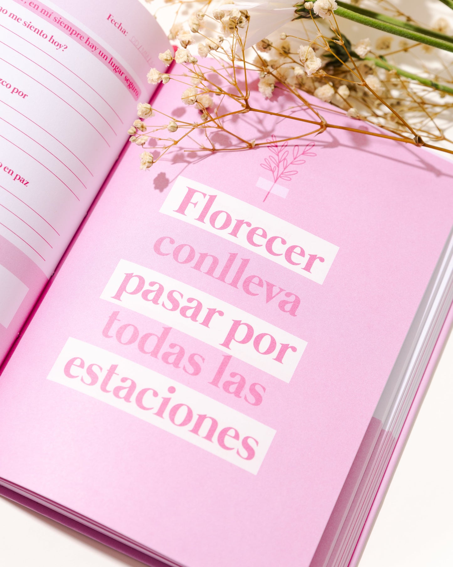 YO SOY MI LUGAR SEGURO - DIARIO DE BIENESTAR EMOCIONAL