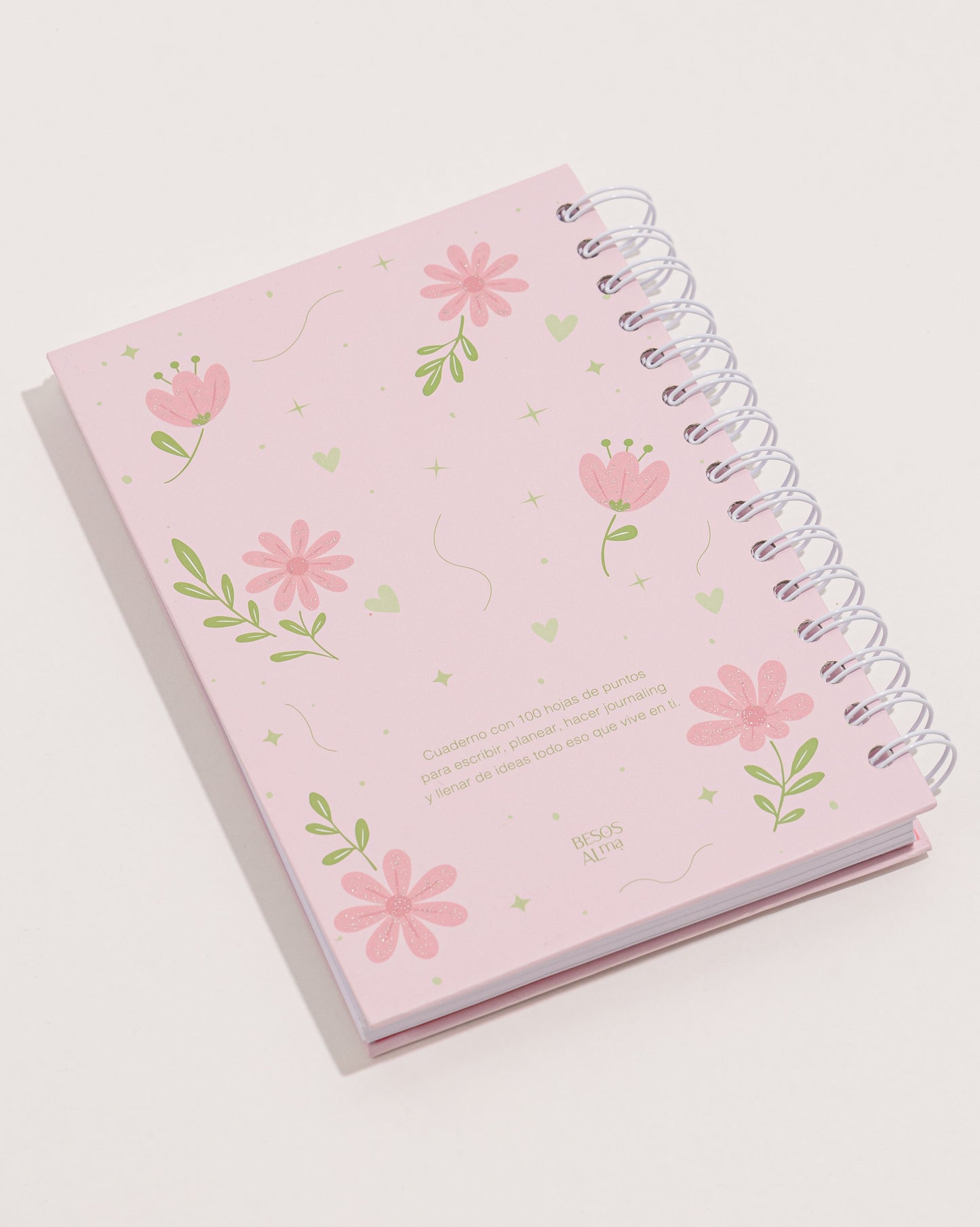 CUADERNO / JOURNAL DE PUNTOS DIOS