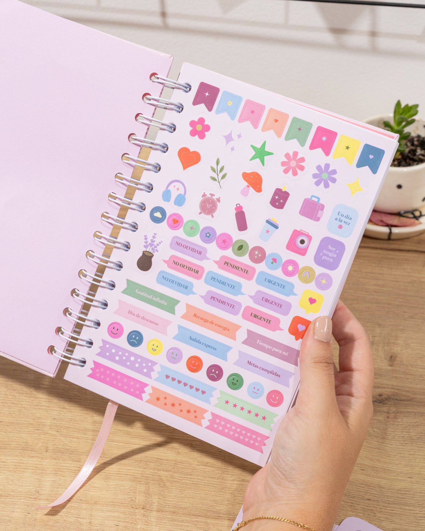 CUADERNO / JOURNAL DE PUNTOS DIOS