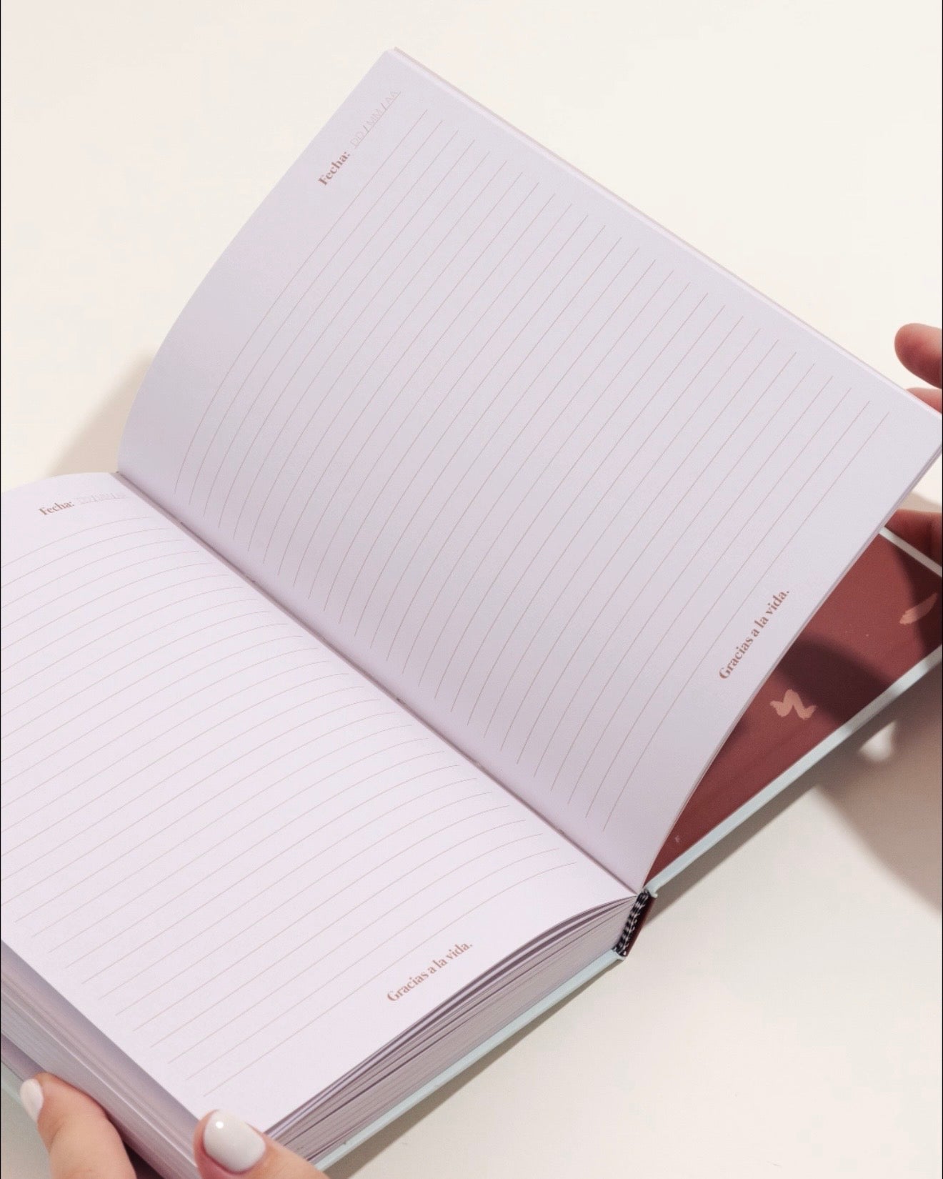 JOURNAL DE GRATITUD - DIARIO GRACIAS AZUL